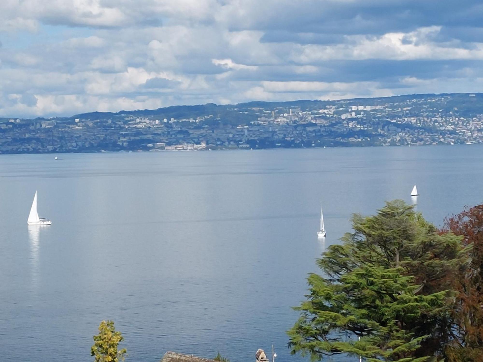 Le Mirabeau Vue Lac Évian-les-Bains Dış mekan fotoğraf