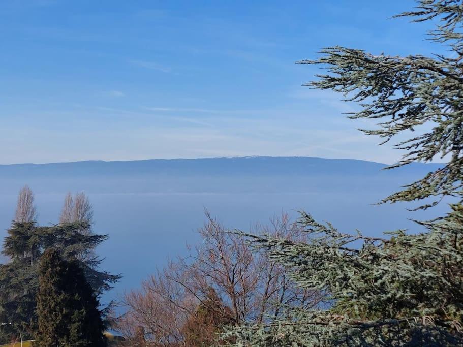 Le Mirabeau Vue Lac Évian-les-Bains Dış mekan fotoğraf