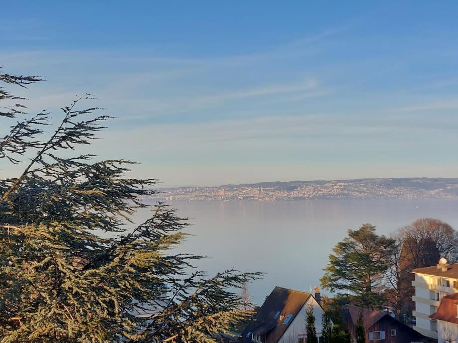 Le Mirabeau Vue Lac Évian-les-Bains Dış mekan fotoğraf